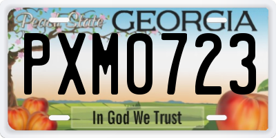 GA license plate PXM0723