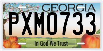 GA license plate PXM0733