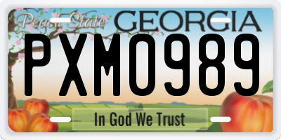 GA license plate PXM0989