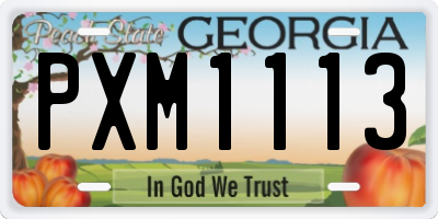 GA license plate PXM1113