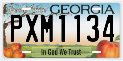 GA license plate PXM1134