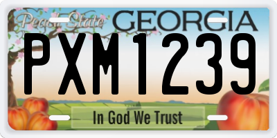 GA license plate PXM1239