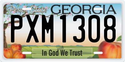 GA license plate PXM1308