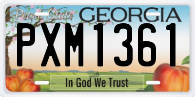 GA license plate PXM1361