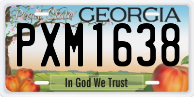 GA license plate PXM1638