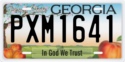GA license plate PXM1641