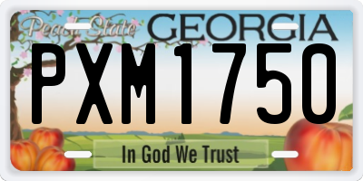GA license plate PXM1750