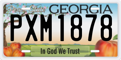 GA license plate PXM1878