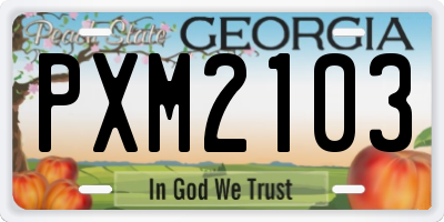 GA license plate PXM2103