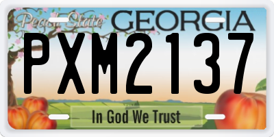 GA license plate PXM2137