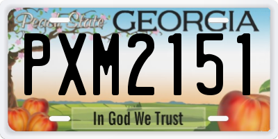 GA license plate PXM2151