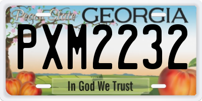 GA license plate PXM2232