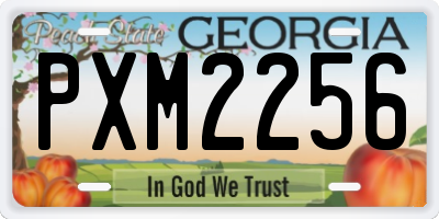 GA license plate PXM2256
