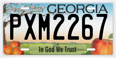 GA license plate PXM2267