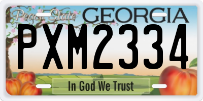GA license plate PXM2334