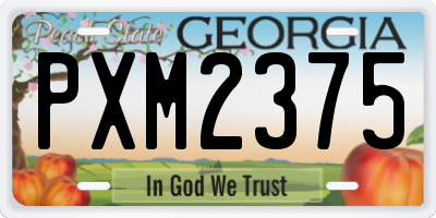 GA license plate PXM2375