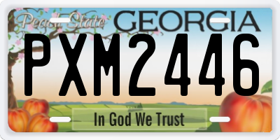 GA license plate PXM2446
