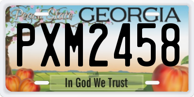 GA license plate PXM2458