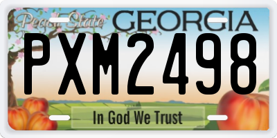 GA license plate PXM2498