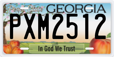 GA license plate PXM2512