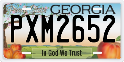 GA license plate PXM2652