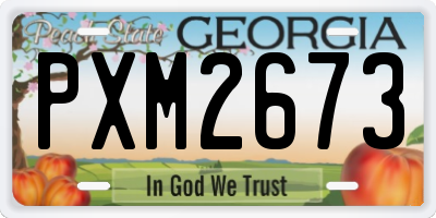 GA license plate PXM2673