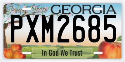 GA license plate PXM2685