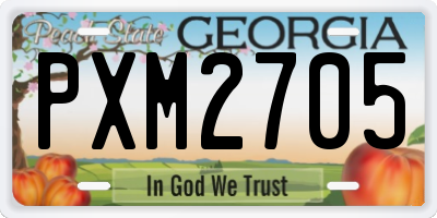 GA license plate PXM2705