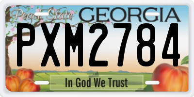 GA license plate PXM2784