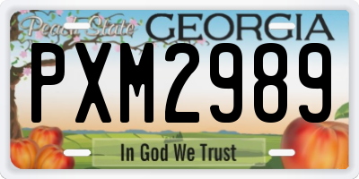 GA license plate PXM2989