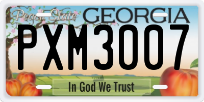 GA license plate PXM3007
