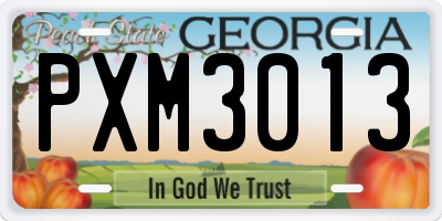 GA license plate PXM3013