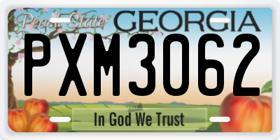 GA license plate PXM3062