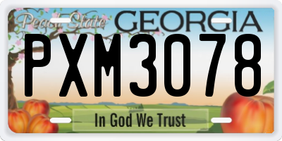 GA license plate PXM3078