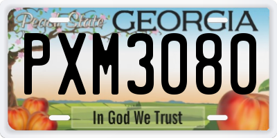 GA license plate PXM3080
