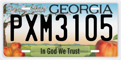 GA license plate PXM3105