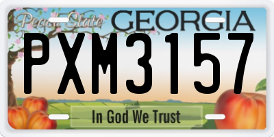 GA license plate PXM3157