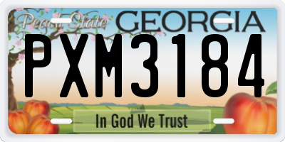 GA license plate PXM3184