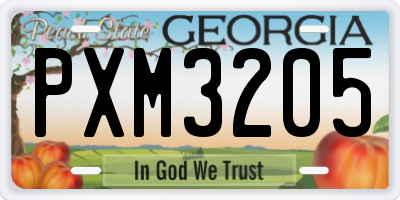GA license plate PXM3205
