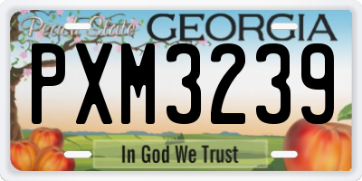 GA license plate PXM3239