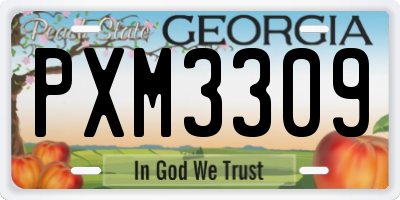 GA license plate PXM3309