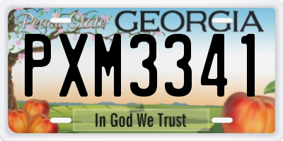 GA license plate PXM3341