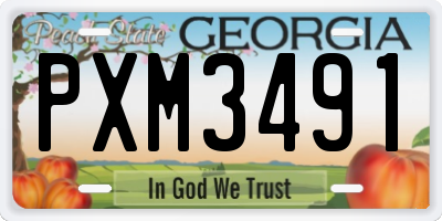 GA license plate PXM3491