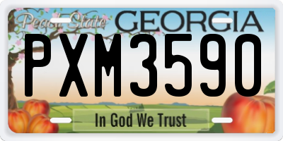 GA license plate PXM3590