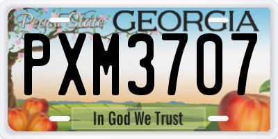 GA license plate PXM3707