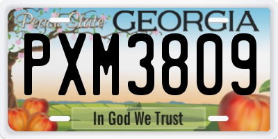 GA license plate PXM3809