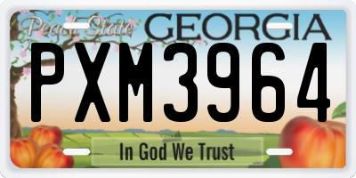 GA license plate PXM3964
