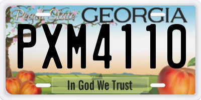 GA license plate PXM4110
