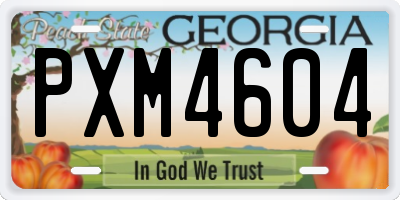 GA license plate PXM4604