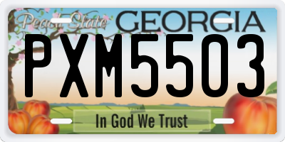 GA license plate PXM5503